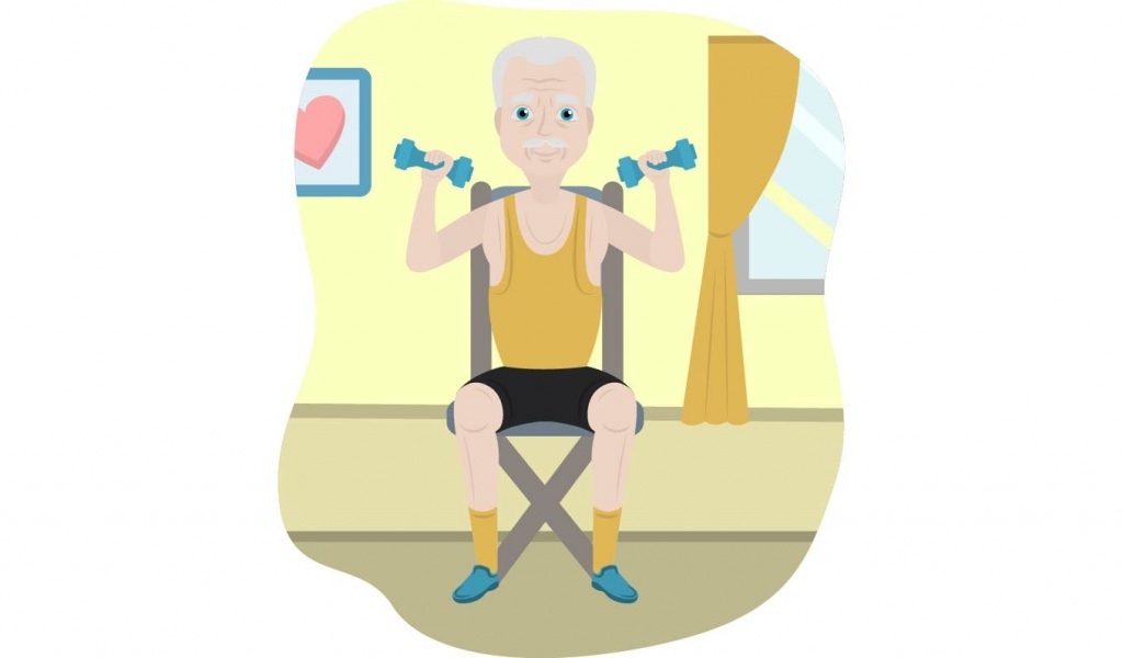 21 Chair Exercises for Seniors A complete Visual Guide